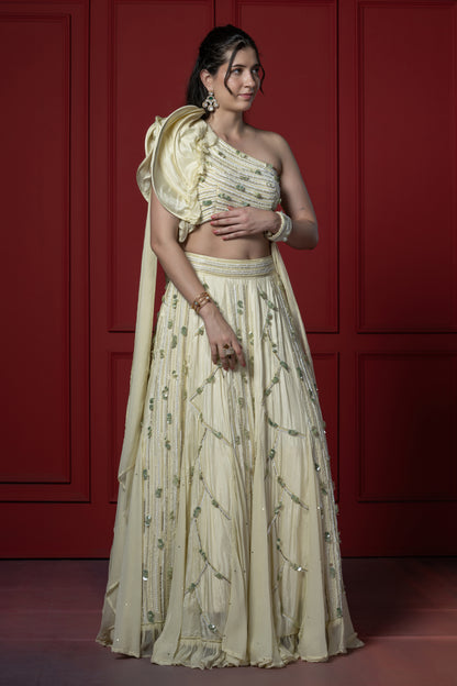 Heavy embroidered Lehenga with boning